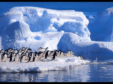 “Oportunidades para la ciencia chilena en la Antártica” (III Conferencia Internacional de Cultura Científica)