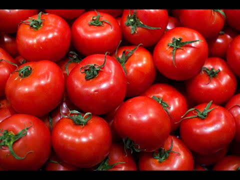 “¿Qué pasó con el sabor de los tomates?” (III Conferencia Internacional de Cultura Científica) Español