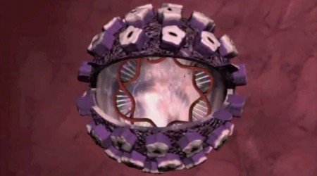 Cáncer y el Virus Papiloma Humano