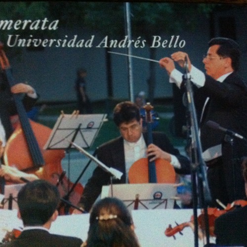 Camerata Universidad Andrés Bello Temporada 2007