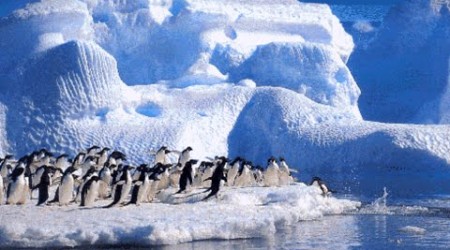 “Oportunidades para la ciencia chilena en la Antártica” (III Conferencia Internacional de Cultura Científica)