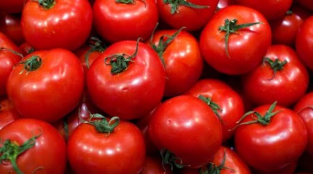 “¿Qué pasó con el sabor de los tomates?” (III Conferencia Internacional de Cultura Científica) Español